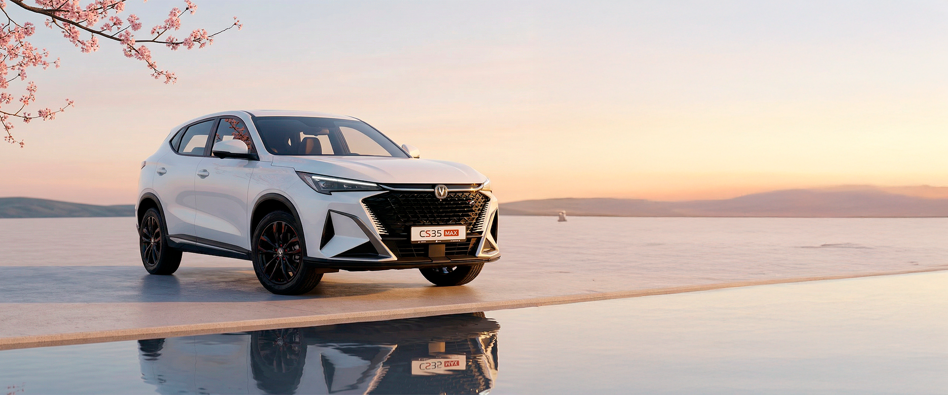 CS35 MAX дизайны